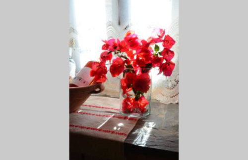 APIGANOS house - Foto 14