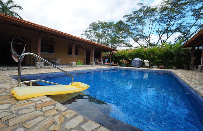 Opera Salvaje N.27 - Foto 15