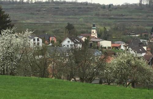 Holiday Apartment Bombach - Foto 7