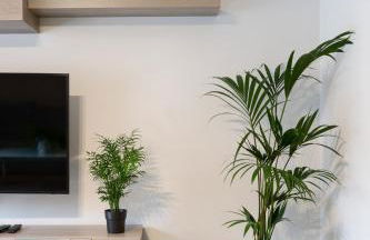 Apartamentos Circulo De Artistas - Photo 1