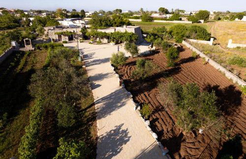 Palacca, trullo salentino - Foto 79