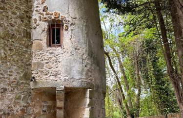 Le Moulin de Rochopt - Photo 57