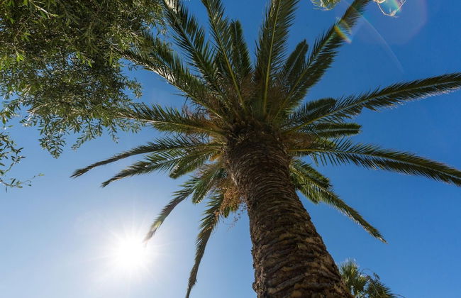 Villa Angelos in Corfu - Photo 33