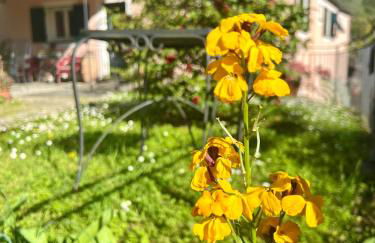 Agriturismo Villa Caterina - Foto 32