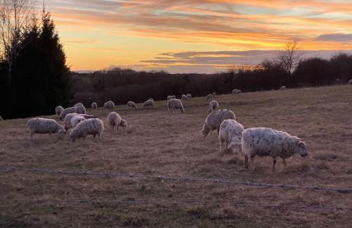 Mill Lodge - Photo 38