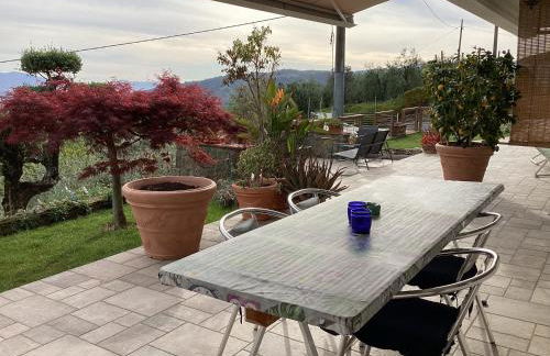 Villa l'Uliveta - Foto 12