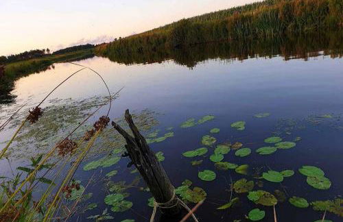 Klein-Tjücher-Grashaus 4 - Foto 23
