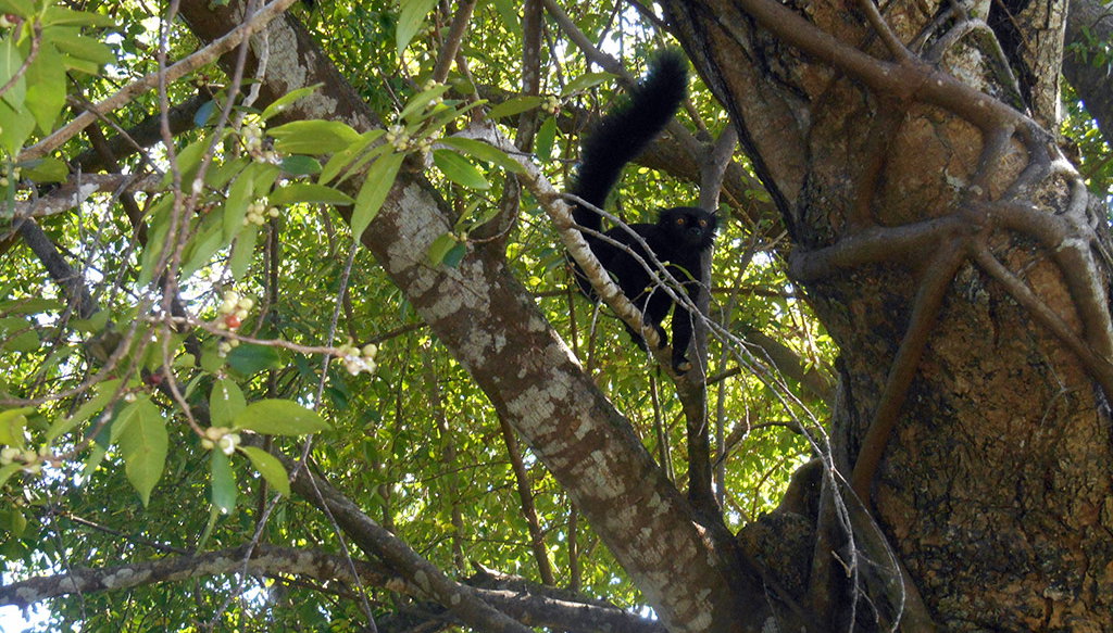 Domaine de Florette - Photo 1