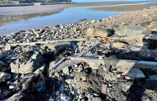 The Hut@Trefechan Wen - Coastal Coziness! - Photo 63