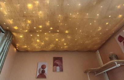 Le petit nid étoilé - Gare, Jardin botanique, Wifi - Foto 10