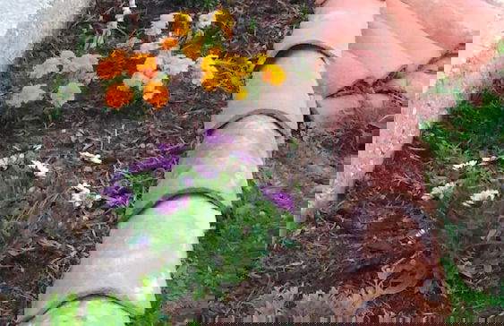 Visitar Bioucas II - Casa Tradicional Portuguesa - Foto 33