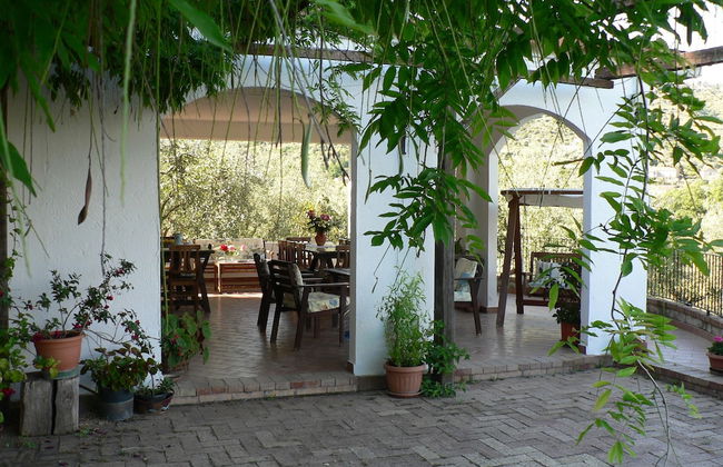 La Gabbianella e il Gatto - Foto 26