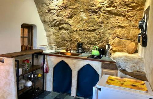 Semi-Troglodyte du Coustal - Photo 6