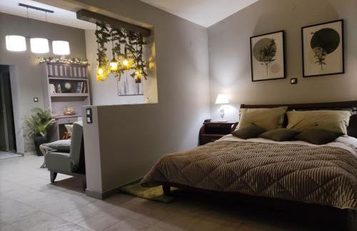 Wine Reflections Apartment near Nafplio - Foto 38