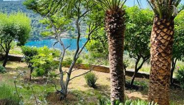 Apartment Monte Rosa - Foto 2