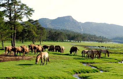 "Chalet TOURELLE "THORENC - Foto 23