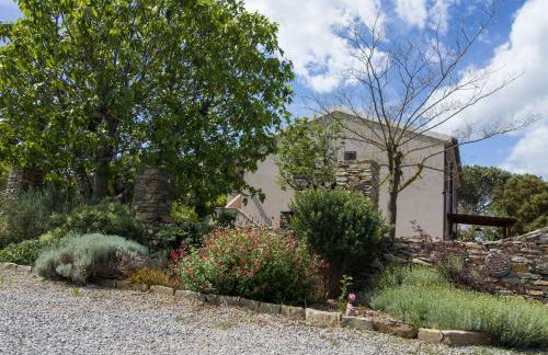 Agriturismo Podere Pizzicagallo - Foto 30