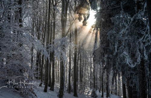 Haus Panoramablick - Fewo Alpensicht, 4 Schlafzimmer, Höchenschwand - Foto 23