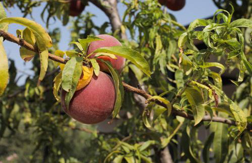 Seaside retreat - Foto 7