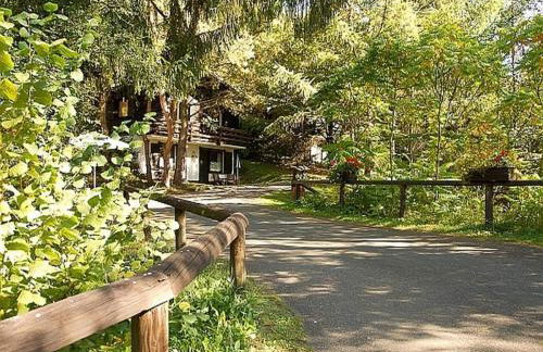 Chalet in Reinskopf With Fireplace - Foto 22