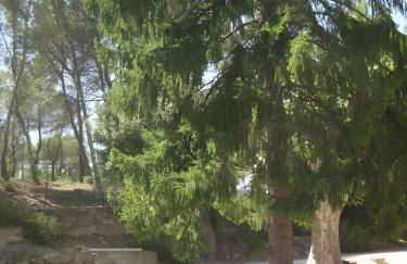 Gites Mas La Mounine - Foto 13