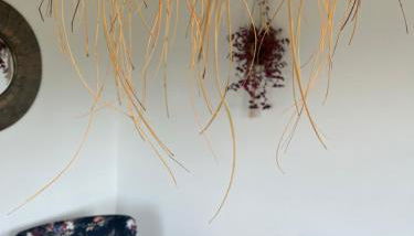 Sun, Sea, Nature - Foto 3