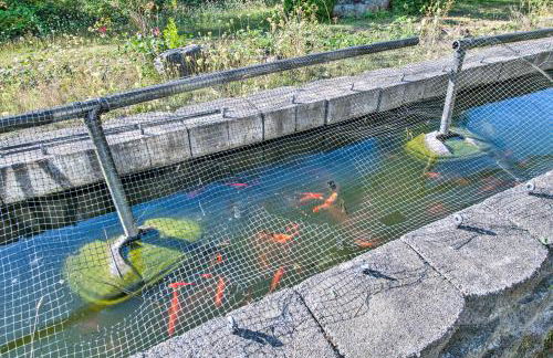 Hood Canal Home with Views - Bordering Olympic NP! - Foto 25