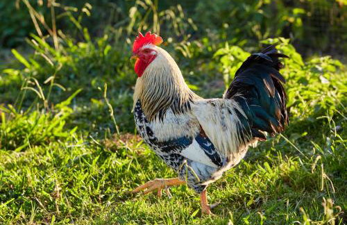 URAIN Suites - Apartments at Flysch-Coast - Photo 40