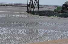 Appartement vue mer - Foto 28