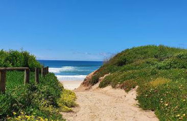 The Palm House - Foto 33