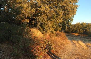 Casa El Encuentro - Turégano Segovia - Foto 37