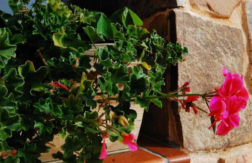 CASA RURAL LAS NAVILLAS - Foto 45