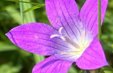 Ferienwohnung Aussicht, Monheimer Alb, Altmühltal - Foto 11