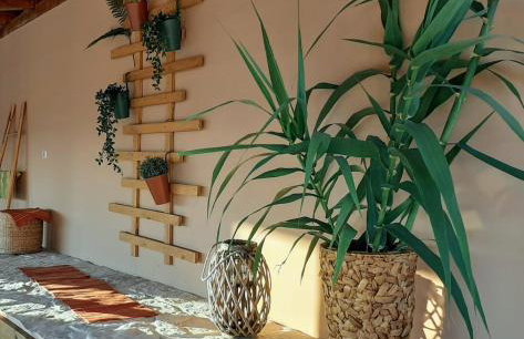 Holiday house Barba - Vrana - Foto 11