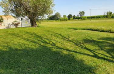 Mas Saint Jean - Foto 36