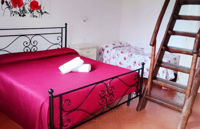 Agriturismo Galea - Foto 7