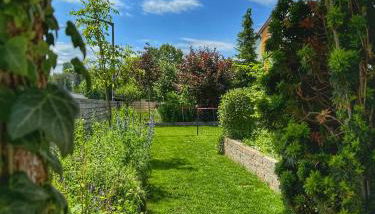 Hatzels Häuschen - Foto 3, Garden, Garden view