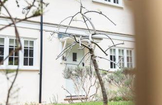 Lavender Cottage - Photo 5