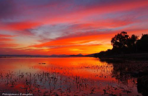 Garden house - Photo 57