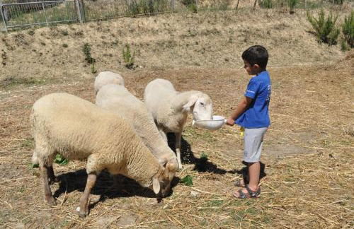 Farm stay Il Carro del Colle - Foto 23