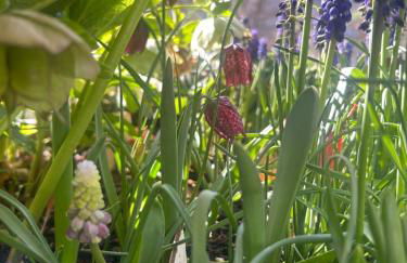 Casa Rural Pirineu Nevà - Foto 52