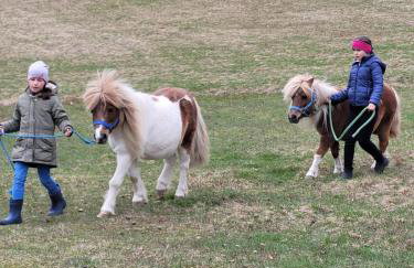 Domek na Obidzy - Foto 16