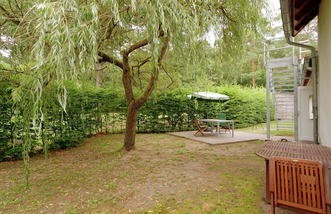 Forest Getaway in Berlin - Foto 24