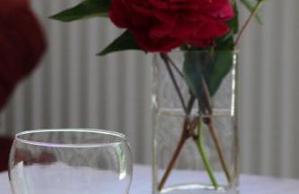 Alpen-FeWo - Foto 22