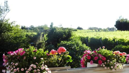 Zum Rebberg Ferienwohnungen - Foto 5