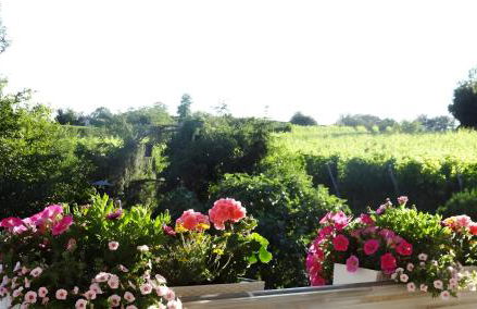 Zum Rebberg Ferienwohnungen - Foto 5