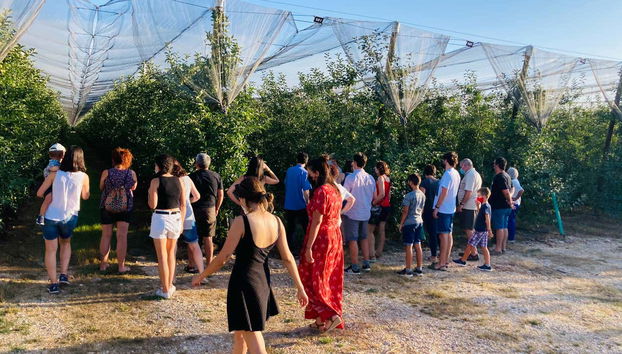 Visitando una finca de manzanas