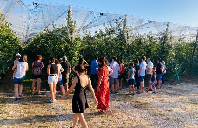 Tour in Burgo de Osma-Ciudad de Osma - Foto 2