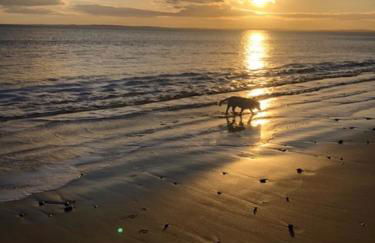 Balloan House - Photo 35