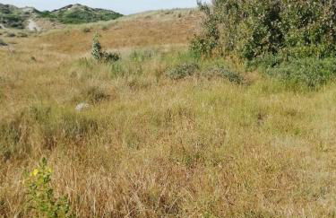 Appartement Rez- de- chaussée convivial proche mer avec terrasse - Foto 27